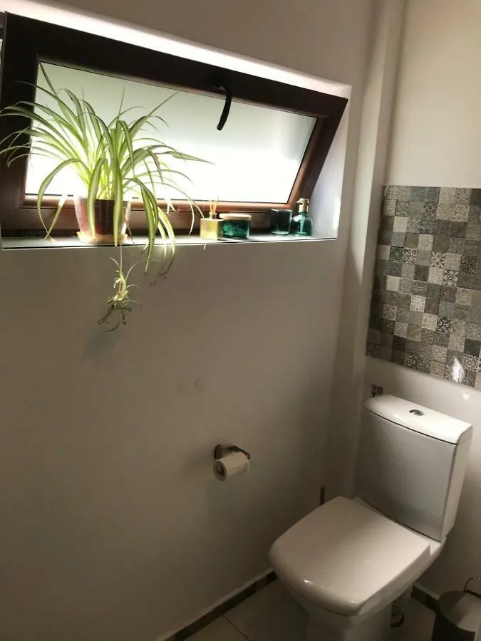Olympia 23 Studio Apartment Bucharest